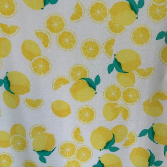 PAPPAGALLO Gwen Live Gives You Lemons Sleeveless Mini Swing Dress Size Large - Picture 7 of 12